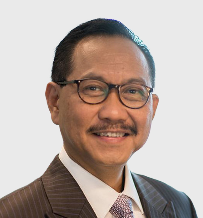 H.E. Mr. Bambang Susantono